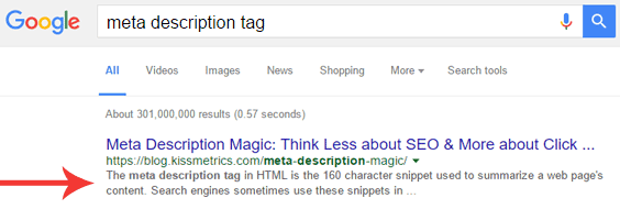 Meta Description Tag Sample